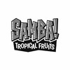 Samba Tropical Fruits Logo